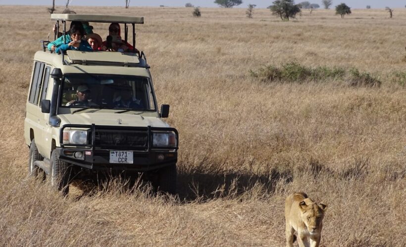 Private Sightseeing & Tours